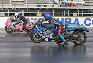 640_Gladstone_Teasl#3DFA007