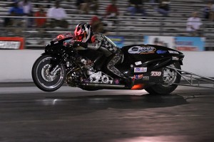 640_R_Procopio_MIRoc#337A6B