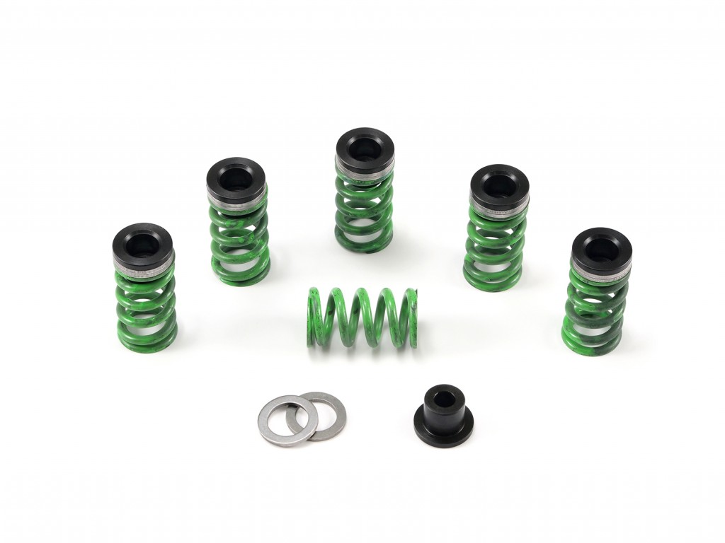 Ninja H2 Heavy Duty Clutch Springs