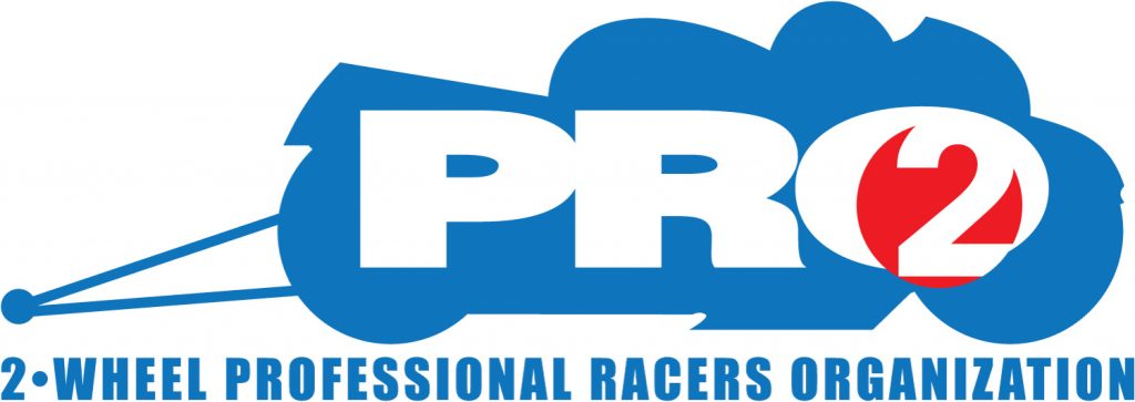 PRO 2 logo