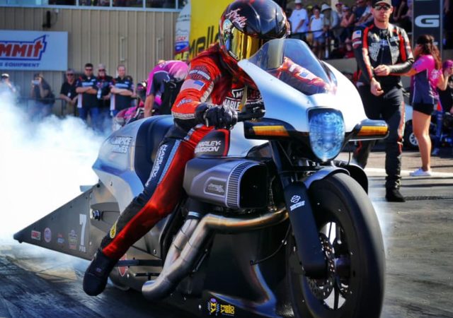 Angelle Sampey Harley FDXR