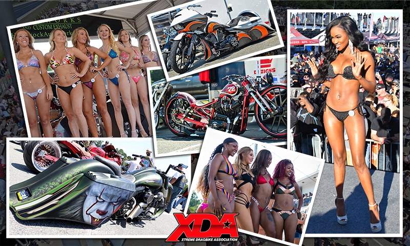 XDA Bikini Contest