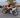 St. Pete Bike Fest