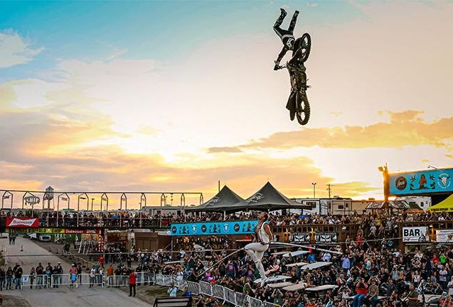 Buffalo Chip Dare Devil