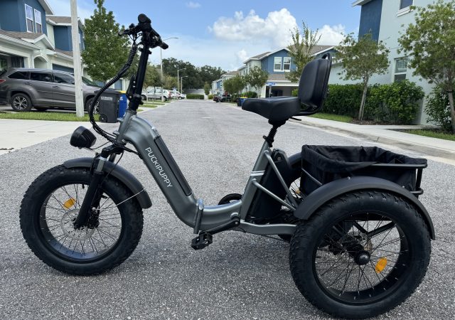 Electric Trike