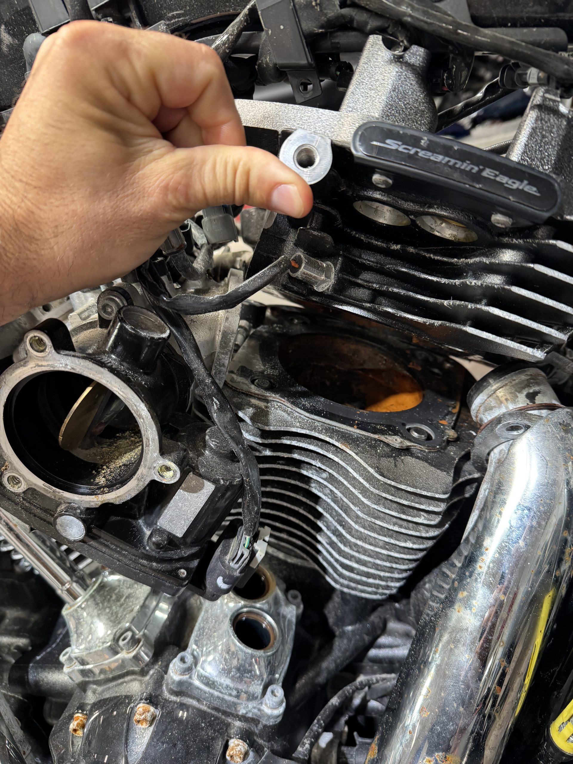 Salt Water Damaged CVO