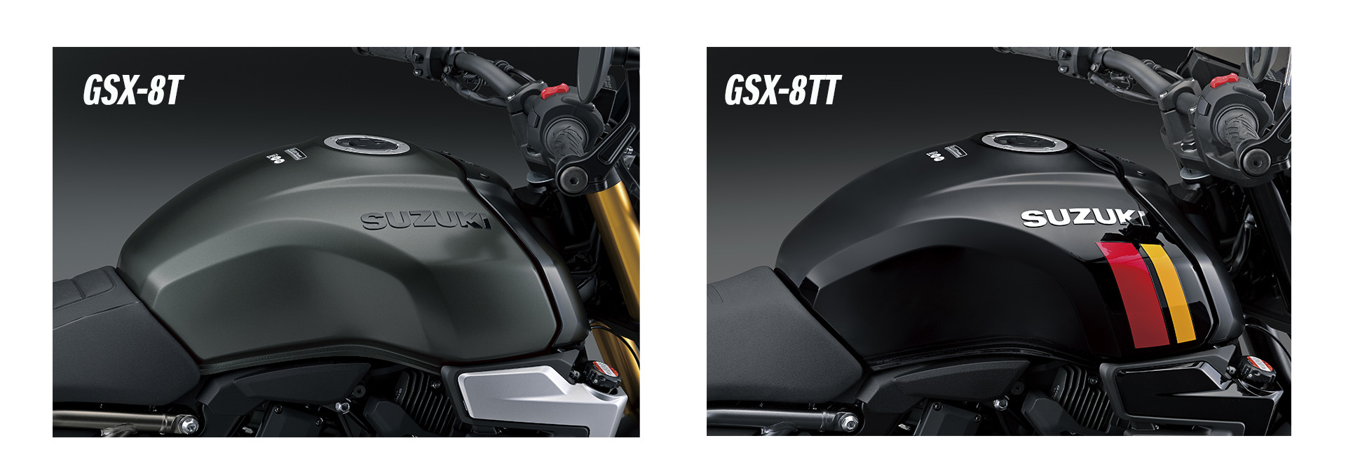Suzuki GSX-8T GSX-8TT