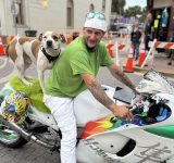 Hayabusa Dog Rider