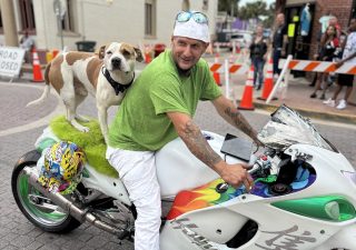Hayabusa Dog Rider