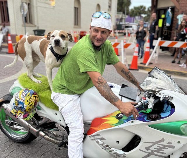 Hayabusa Dog Rider